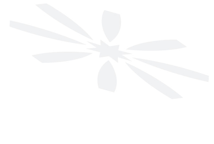 logosvagtweb.jpg