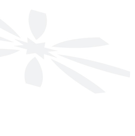 logosvagtweb.jpg